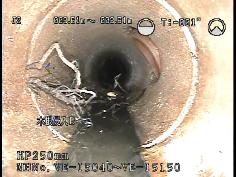 下水道管渠TVカメラ調査 木根侵入